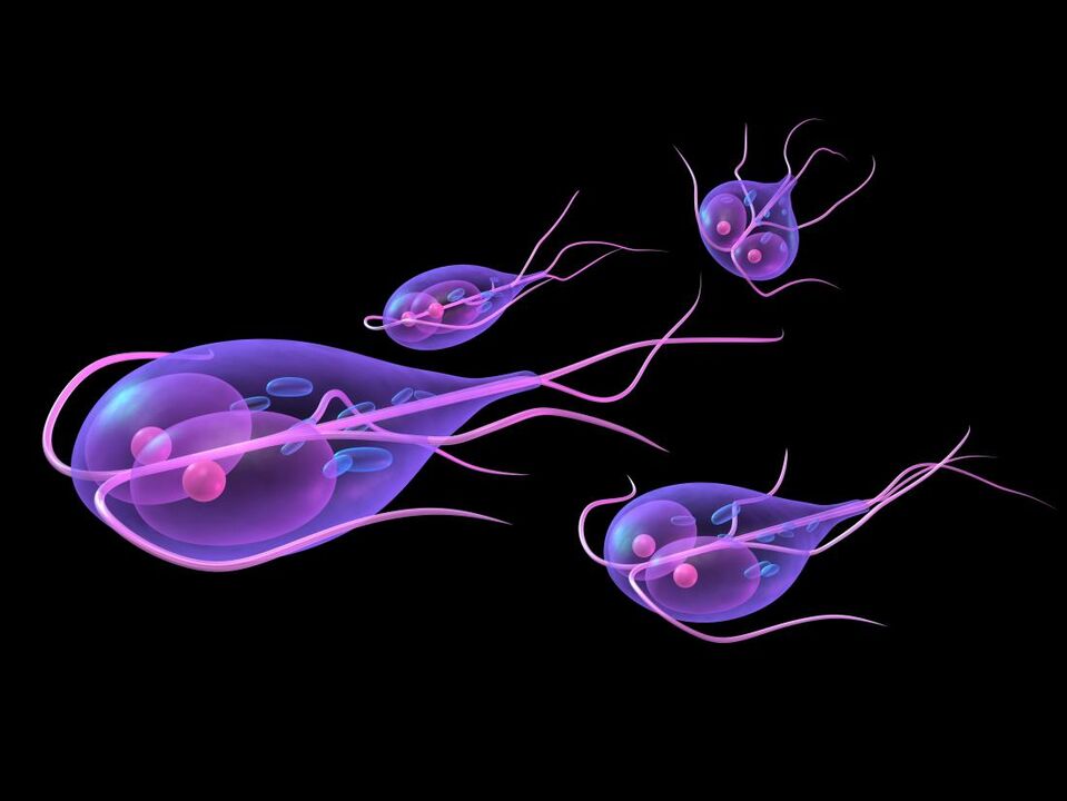 Giardia από το ανθρώπινο σώμα